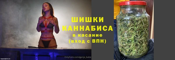 мдпв Вязники