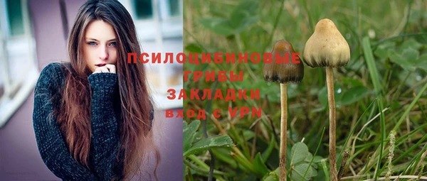 ешки Вяземский