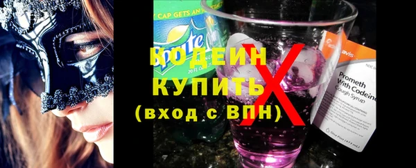 ешки Вяземский