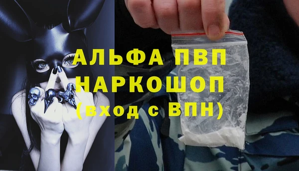 Альфа ПВП Сосновый Бор