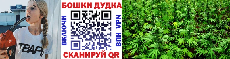 закладка  Переславль-Залесский  Конопля Amnesia 